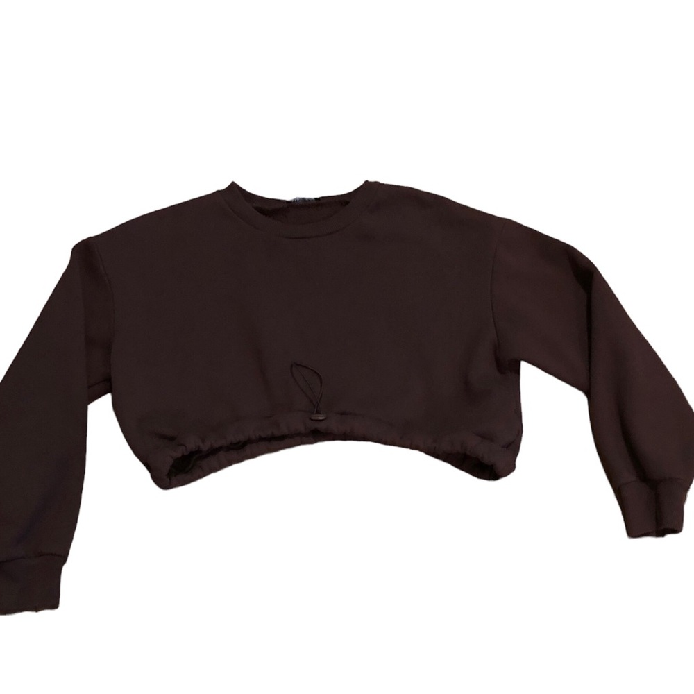 ZARA Dark Brown Crop Top